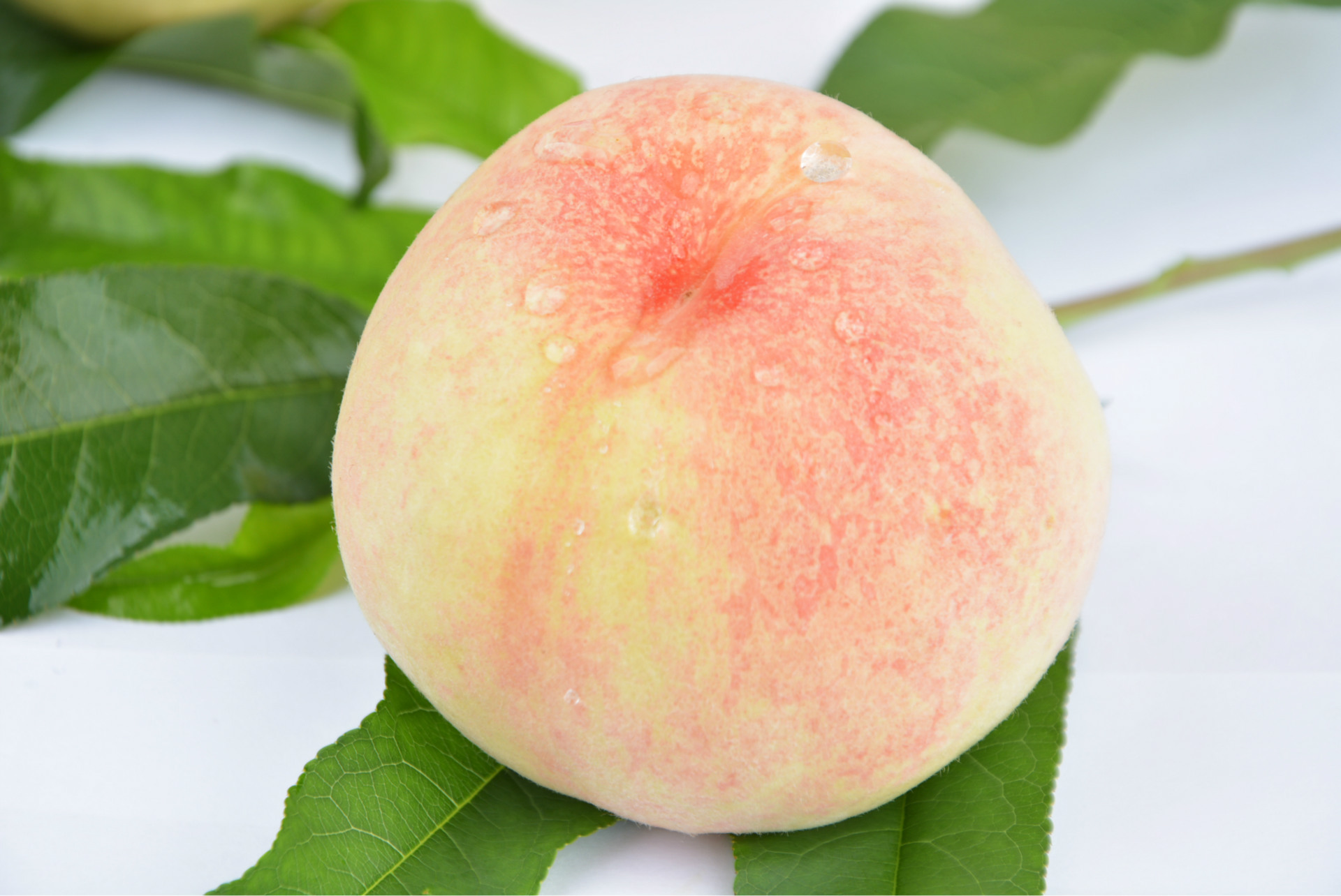 无公害瑜伽水果水蜜桃 新鲜正宗无锡阳山水蜜桃