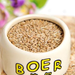 leo加纳利子 进口草籽白尖粟油尖粟 增膘提性 鹦鹉文鸟类必备