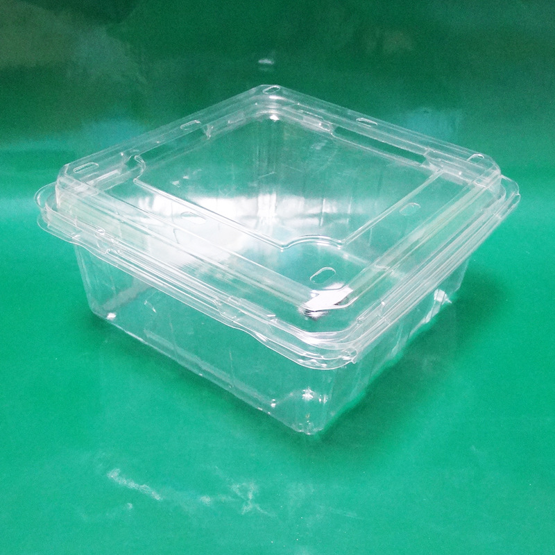 厂家直销 一次性透明塑料盒批发 水果塑料盒 透明塑料食品包装盒