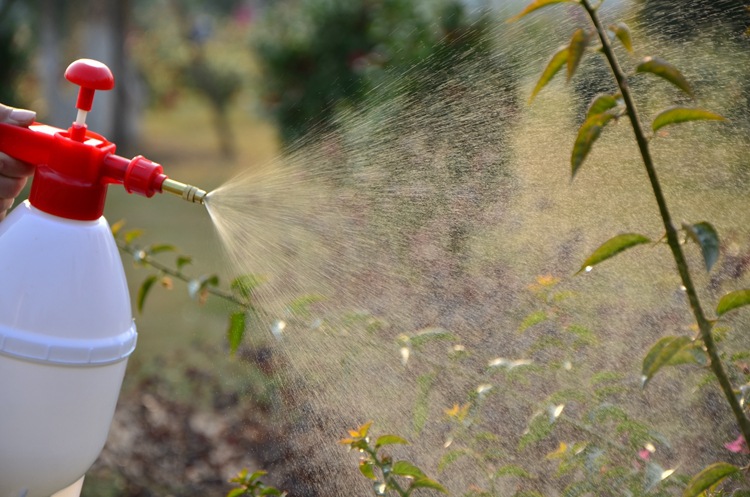 8l小型洒水壶浇水壶园艺两用喷洒器气压式消毒喷雾器喷水壶浇花