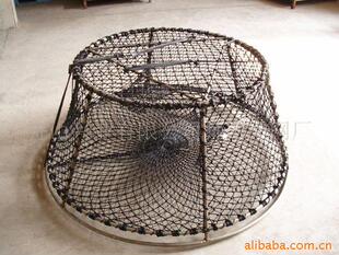 捕捞工具：海洋生态的新平衡者